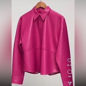 Aritzia Babaton Oversized Leather Jacket